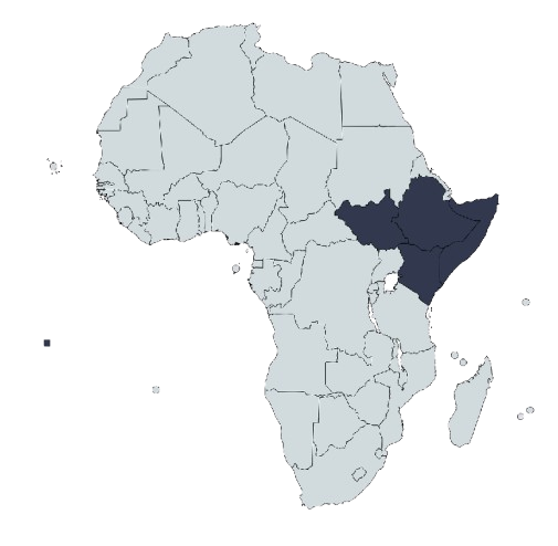 rdi-africa-country-operations__1_-removebg-preview